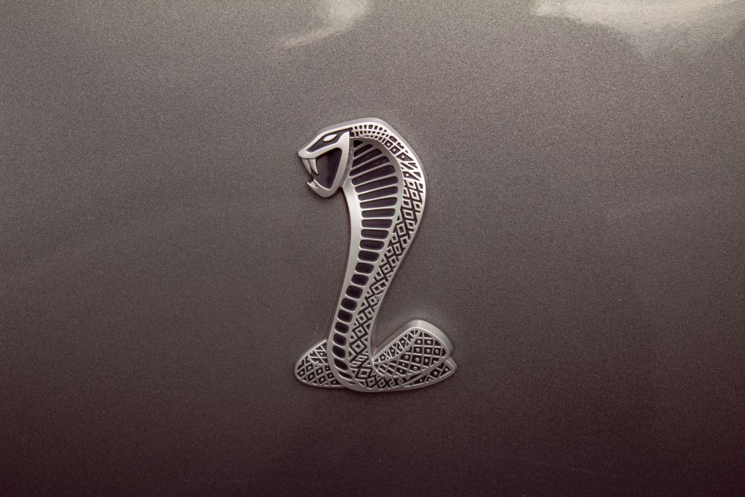 Mustang GT500 – Detail Badge